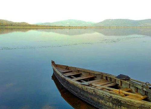 Birds. Boats. Breathtaking Views